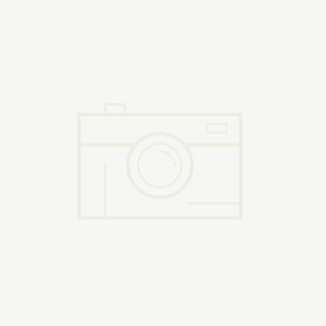 ���ݶ��ư�����һ��